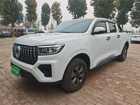 Great Wall Poer 2025