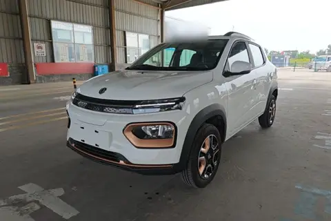 Dongfeng Nammi Box 2024