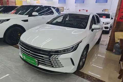 BYD Destroyer 05 2024