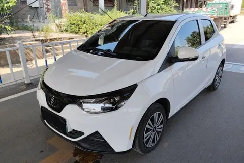 Jiangling Xiao Qilin 2024