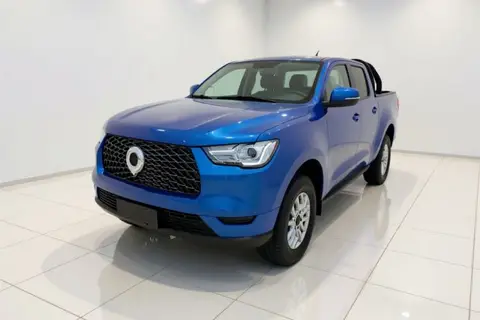 Great Wall Poer 2020
