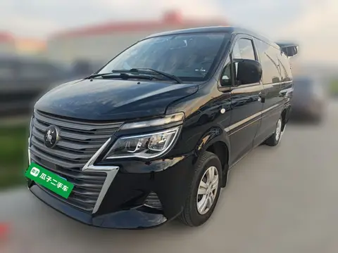 Forthing Lingzhi 2021