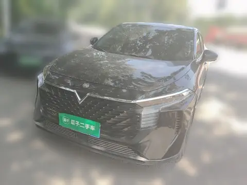 Venucia V 2023