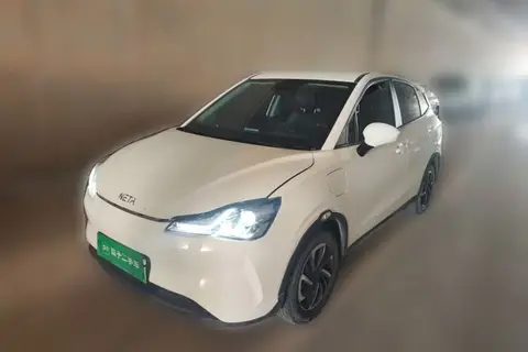 NETA V 2021