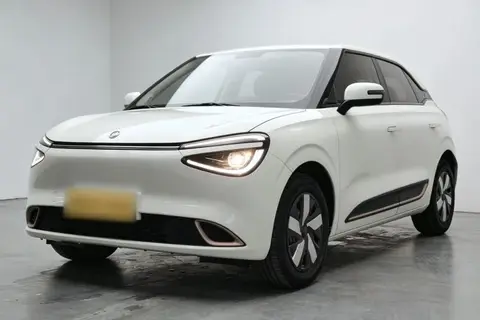 Dongfeng Nammi 01 2024