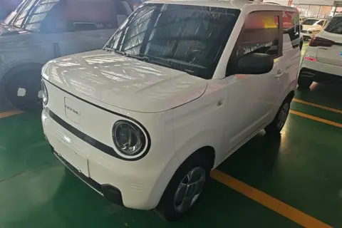 Geely Panda 2024