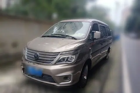 Forthing Lingzhi 2022