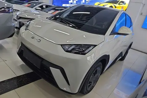 BYD Seagull 2024