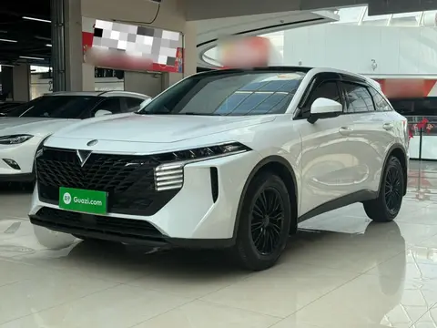 Venucia V 2024