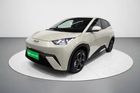 BYD Seagull 2024