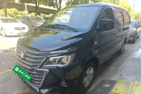 Forthing Lingzhi 2023