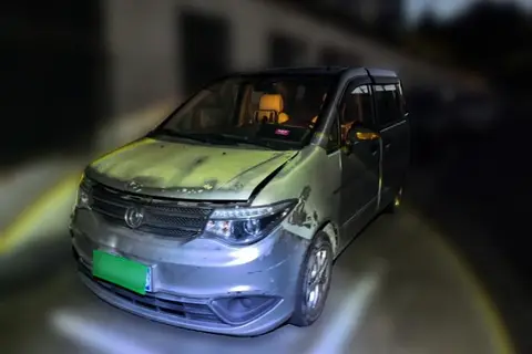 Dongfeng Shuaike 2015