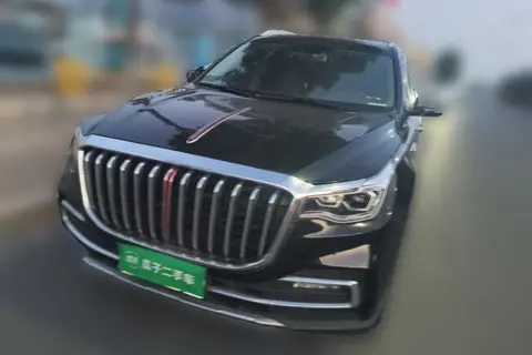 Hongqi HS7 2021