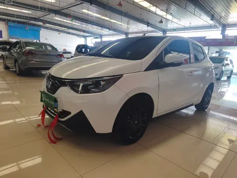 Jiangling Xiao Qilin 2024