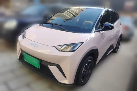 BYD Seagull 2024