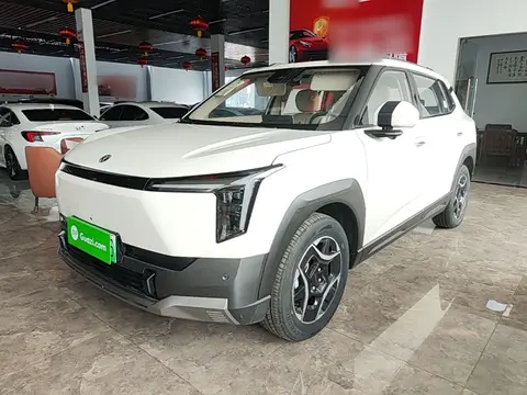 Dongfeng Nammi 06 2025