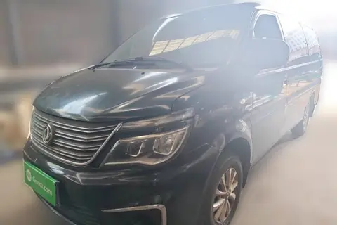 Forthing Lingzhi 2018