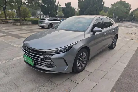 BYD Destroyer 05 2024