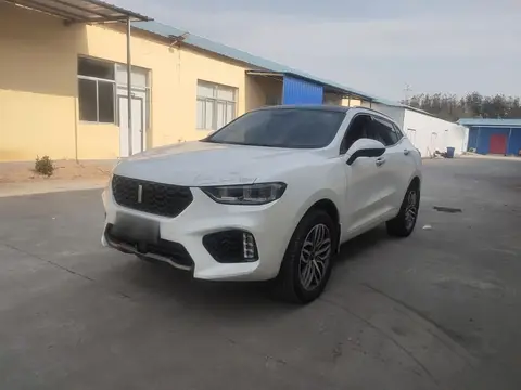 Wey VV5 2019