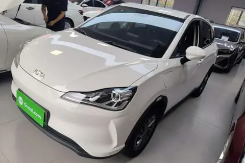 NETA V 2021