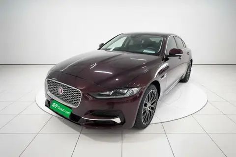 Jaguar XEL 2020