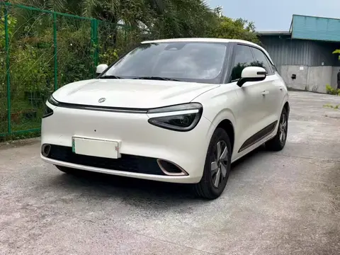 Dongfeng Nammi 01 2025