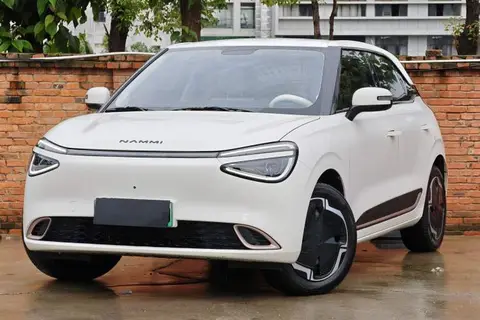 Dongfeng Nammi 01 2024