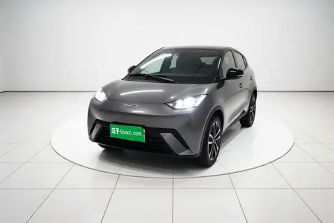 BYD Seagull 2024