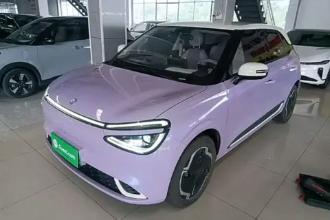 Dongfeng Nammi 01 2025