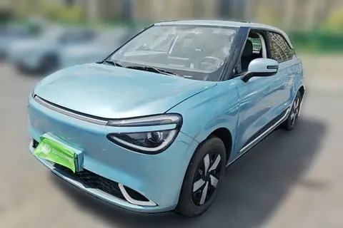 Dongfeng Nammi 01 2024