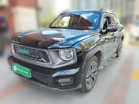 Haval H Dog 2023