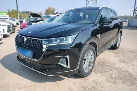 Venucia Star 2021