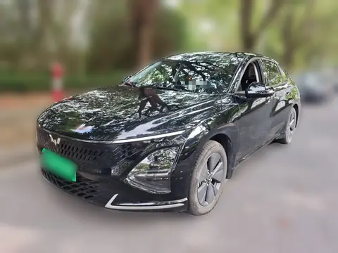 Wuling Xingguang 2024
