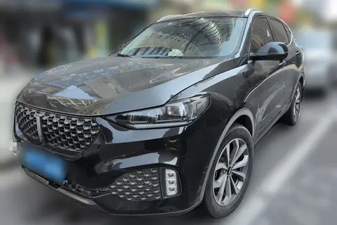 Wey VV6 2019