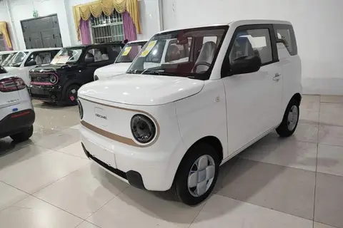 Geely Panda 2025