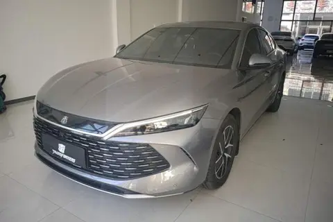 BYD Qin L 2024