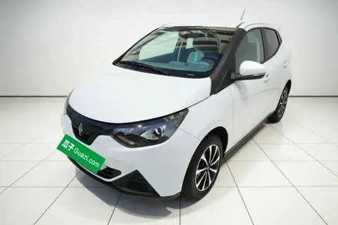 Jiangling Xiao Qilin 2025