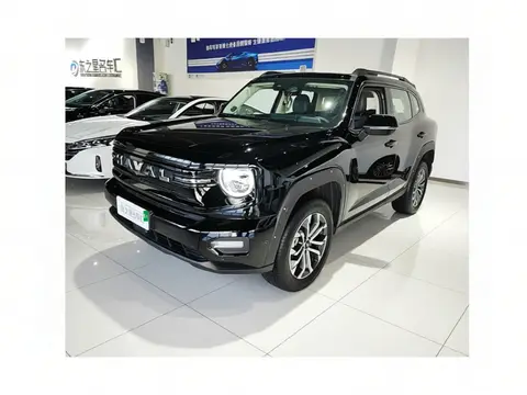 Haval H Dog 2026