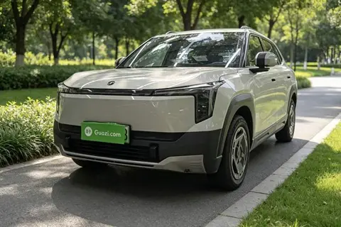 Dongfeng Nammi 06 2025