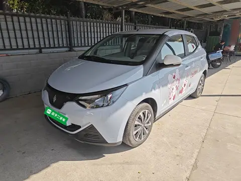 Jiangling Xiao Qilin 2025