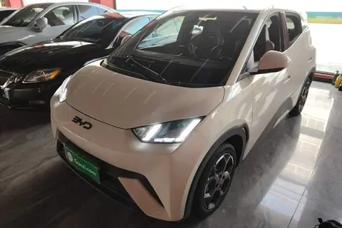 BYD Seagull 2024