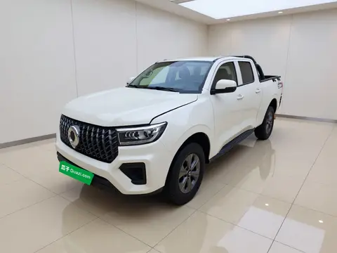 Great Wall Poer 2024