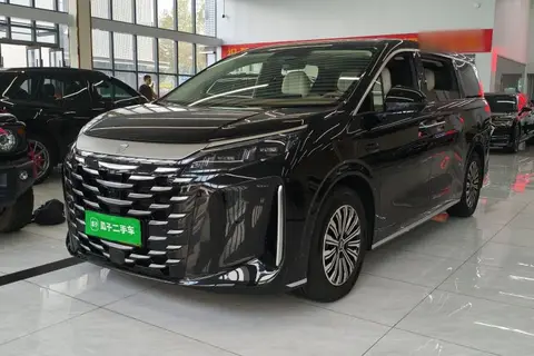 BYD Xia 2025