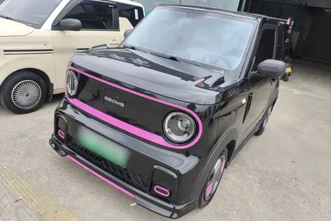 Geely Panda 2025