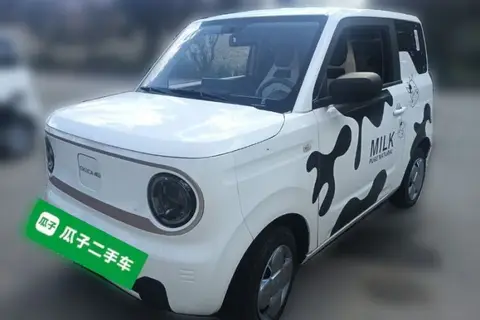 Geely Panda 2024