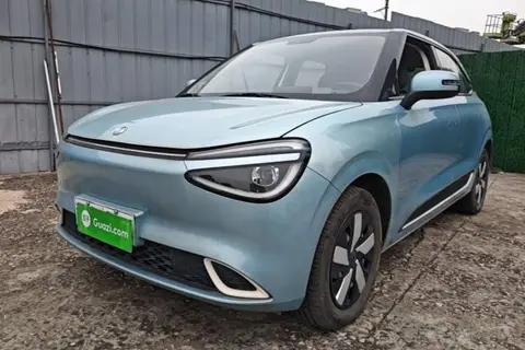 Dongfeng Nammi 01 2024