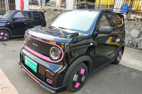 Geely Panda 2024
