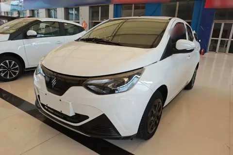 Jiangling Xiao Qilin 2023