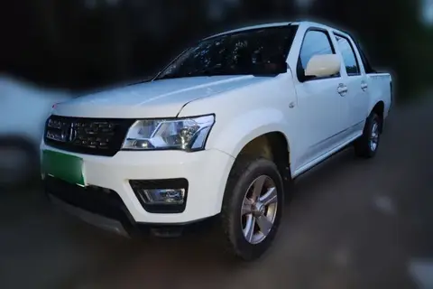Changan Kaicene Shenqi F30 2019