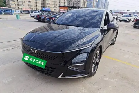 Wuling Xingguang 2024